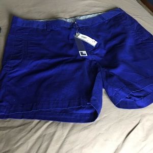 Shorts NWT . Size 16w